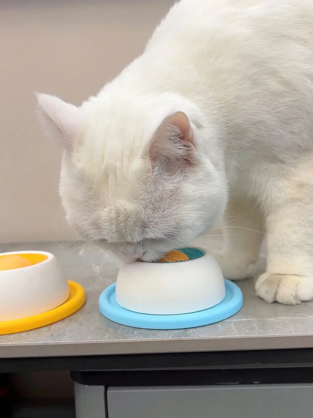 Brinquedo Interativo para Pets: Dispensador de Alimentação Lenta para Enriquecimento e Treinamento, Acessório para Cães, Gatos e Filhotes