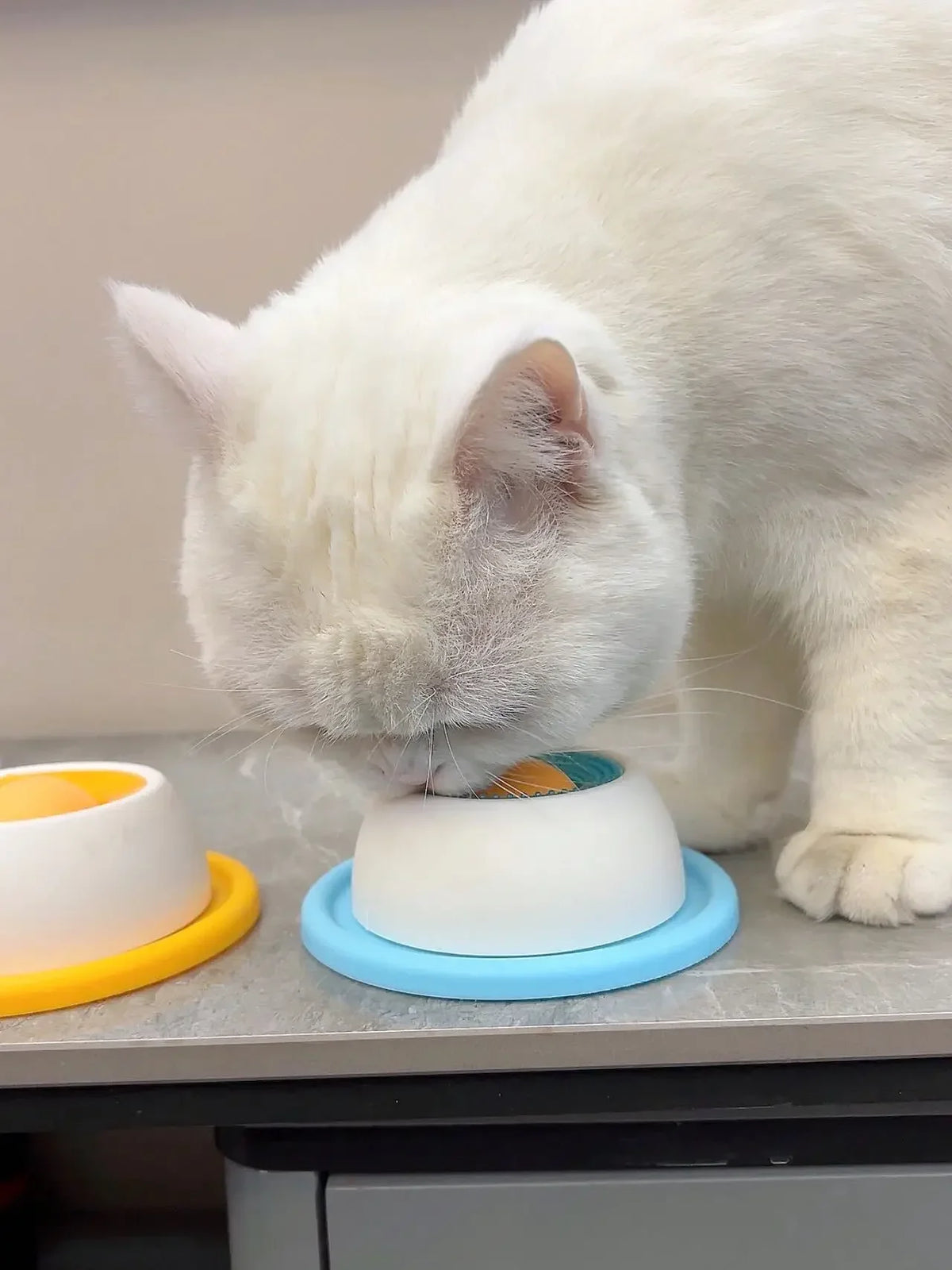 Brinquedo Interativo para Pets: Dispensador de Alimentação Lenta para Enriquecimento e Treinamento, Acessório para Cães, Gatos e Filhotes