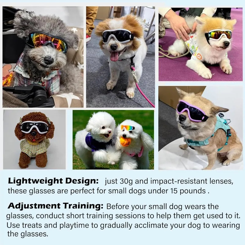 Letvia óculos de sol para cães de estimação, durável, à prova de vento, resistente a uv, acessórios de decoração para animais de estimação