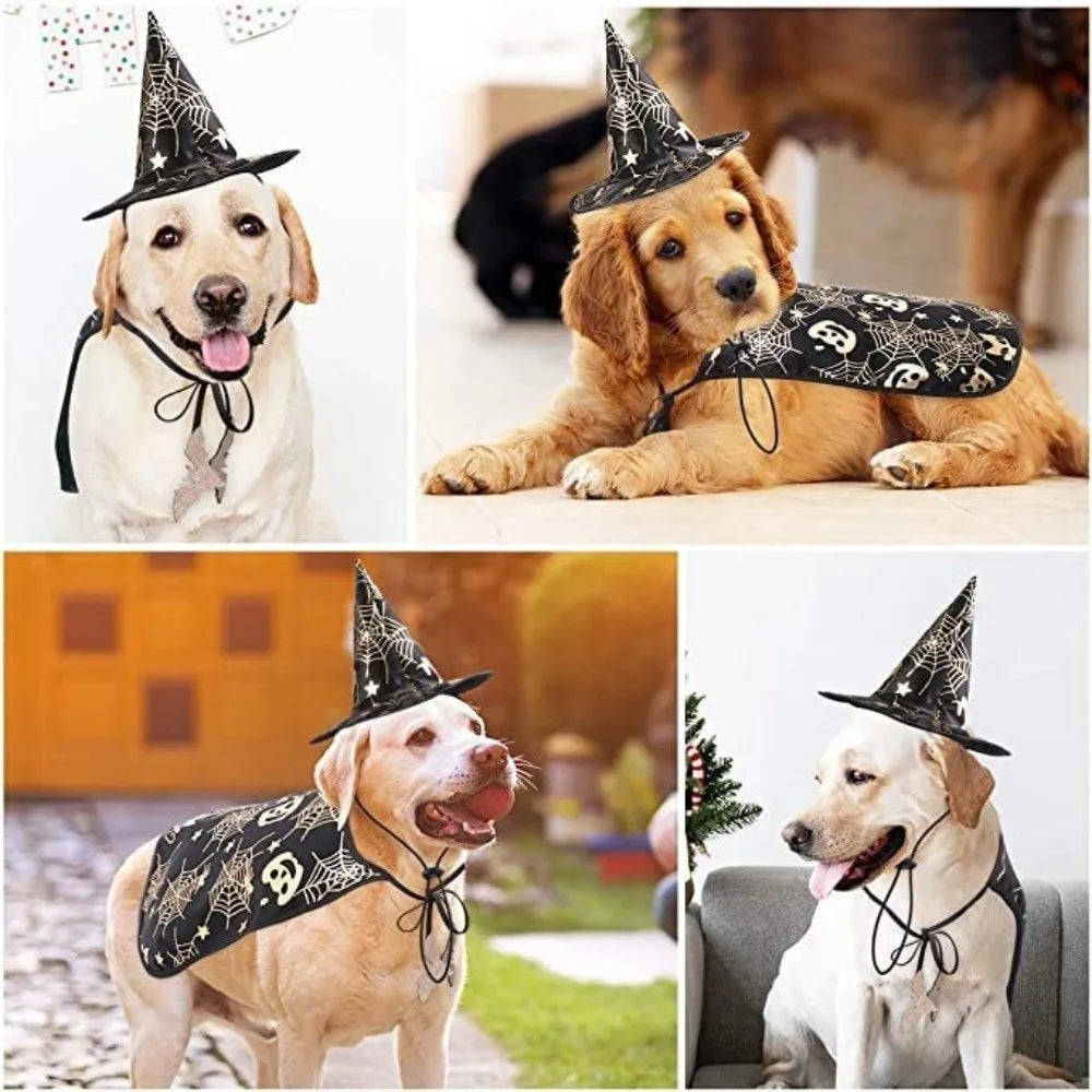 Engraçado abóbora animal de estimação trajes de halloween capa ajustável macio gatos cosplay roupas morcego preto halloween animal de estimação vestuário festa