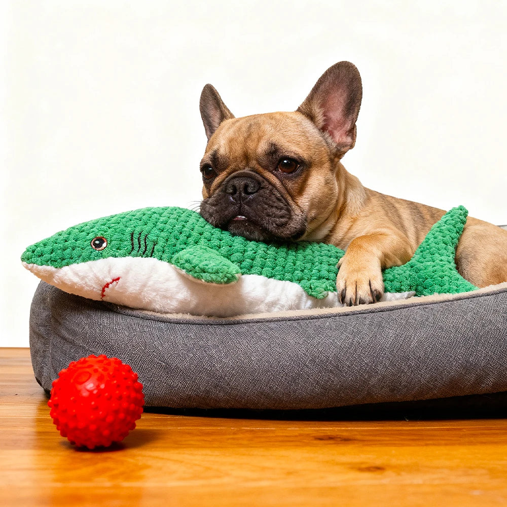 Brinquedo interativo de pelúcia resistente à mastigar para animais de estimação com som, formato de papagaio, adequado para animais de estimação grandes, médios e pequenos como gatos e cães, tecido de camada dupla, ai