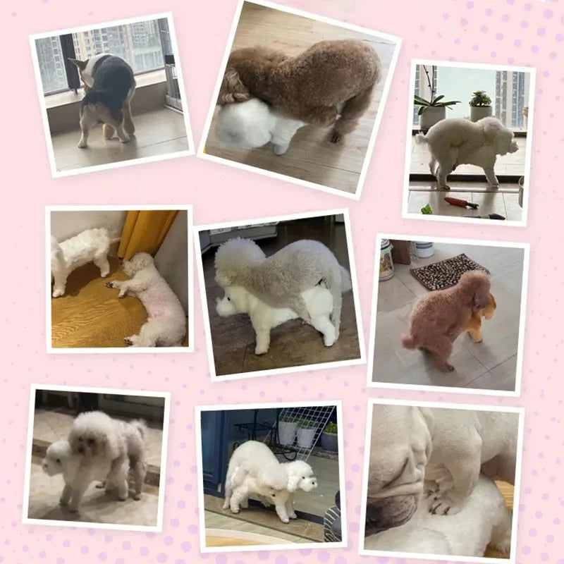 Soft Silicone Sex Toys for Puppy, Raças Pequenas, Brinquedos de Pelúcia, Brinquedos Sensoriais, Pet Supplies, Acessórios para Cães, Training Aids and Behavior