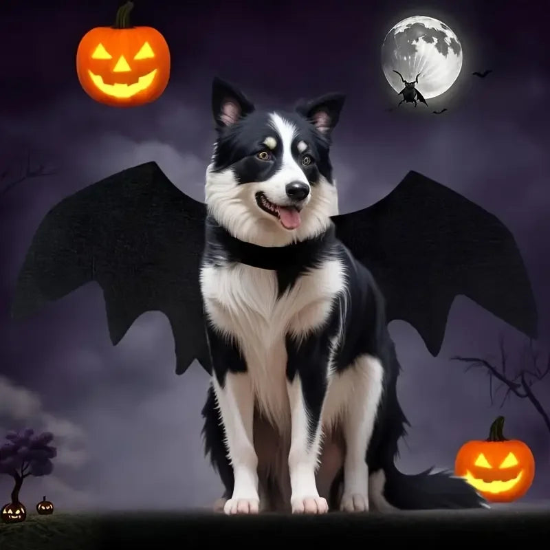 Halloween animal de estimação asas de morcego traje de feltro para cães pequenos gatos bonito engraçado roupa para animais de estimação vestuário para festa de halloween cosplay acessórios