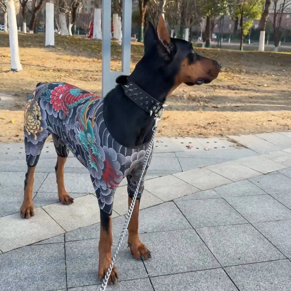 Roupa para Tatuagem de Animais de Estimação, Anti-Queda de Pelo, Roupa Respirável para Animais de Quatro Patas, Roupa Personalizada para Animais de Estimação, Roupa Divertida para Animais de Estimação