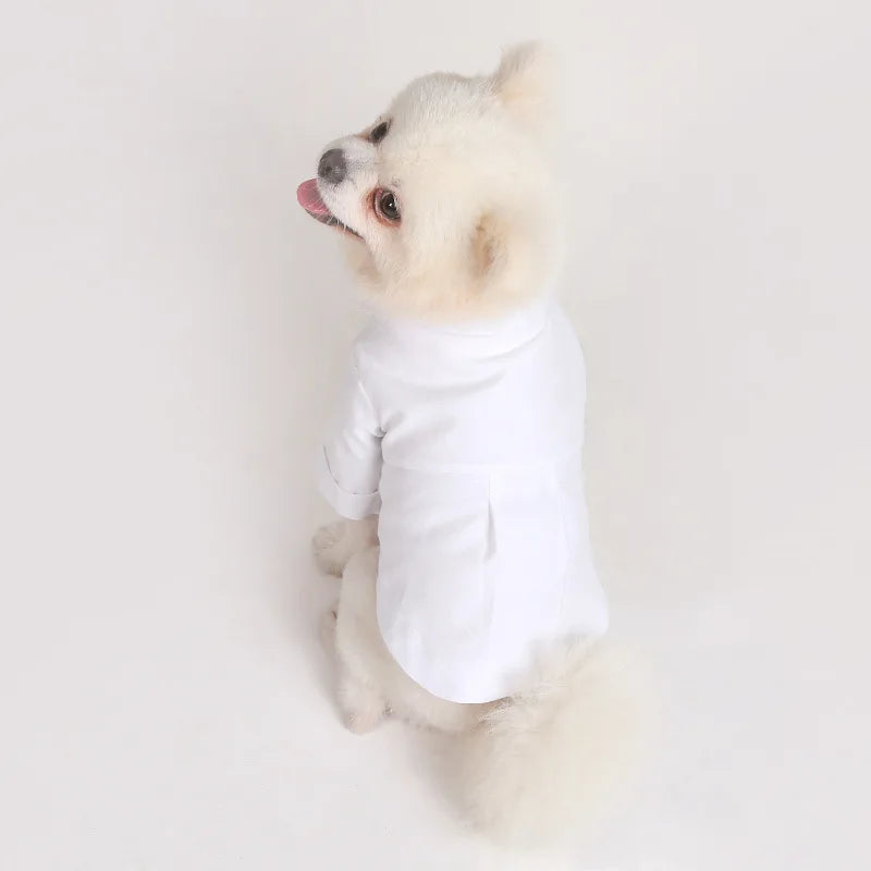 Primavera e outono camisas de fundo para animais de estimação versátil magro roupas para cães boutique roupas da moda para animais de estimação
