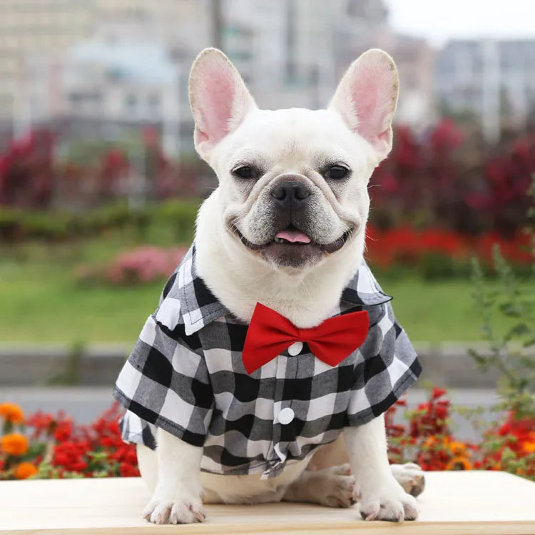 Cão de estimação roupas xadrez camisa terno gravata vestido primavera verão filhote de cachorro casaco teddy bear pomeranian colete pequeno-médio cão gato animal de estimação traje