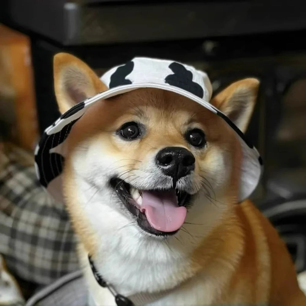 Chapéu de Sol para Pets Ajustável para Cães e Gatos de Pequeno e Médio Porte, Shiba Inu, Corgi, Filhotes, Gatinhos