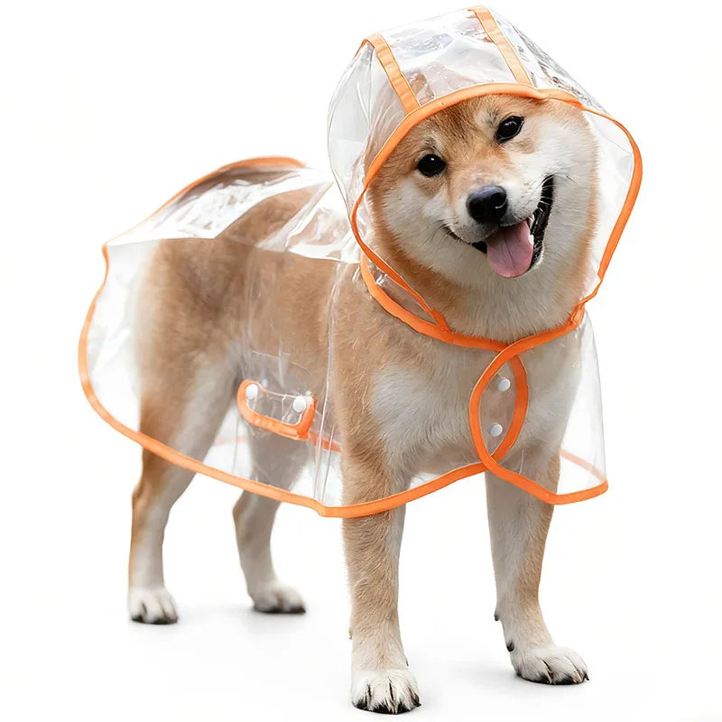 Capa de Chuva Transparente para Cães S/XL, Impermeável e à Prova de Vento, Roupa para Cães Grandes, Fantasia para Cães