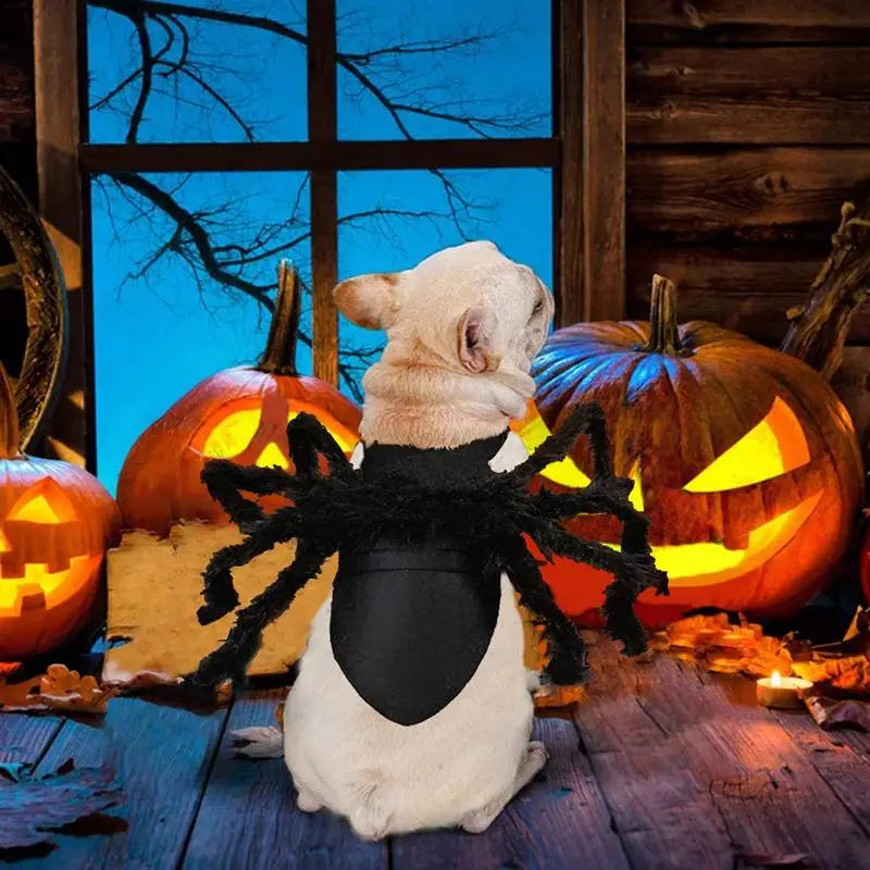 Novo # Fantasia de Halloween para Cães e Gatos, Traje de Aranha, Roupa de Transformação, Fantasia Engraçada para Cosplay, Vestido para Cães e Gatos