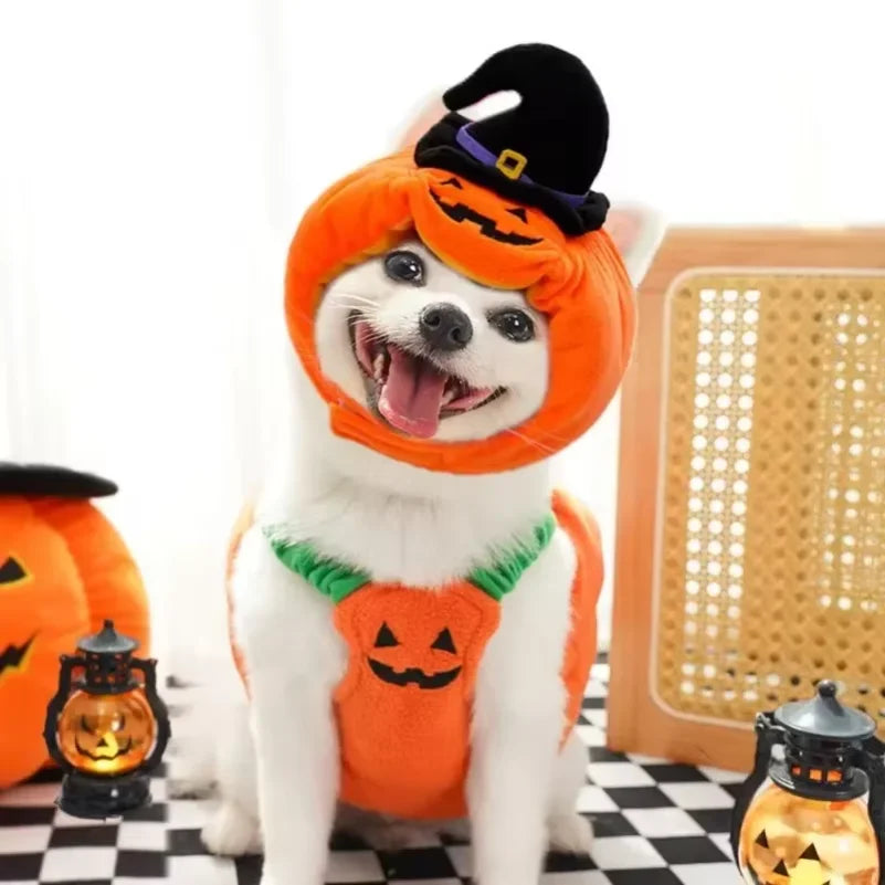 Fantasias de Halloween para Cães, Traje Engraçado de Abóbora Lanterna, Roupa de Transformação para Cães e Gatos de Duas Patas, Chapéu de Abóbora Fofo, Jaqueta para Cães