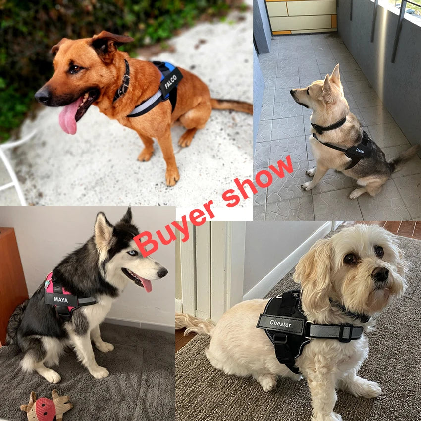 Coleira Peitoral Personalizada para Cães, Sem Puxões, Refletiva e Respirável, Colete para Cães Pequenos e Grandes, Acessórios para Passeio e Treinamento ao Ar Livre