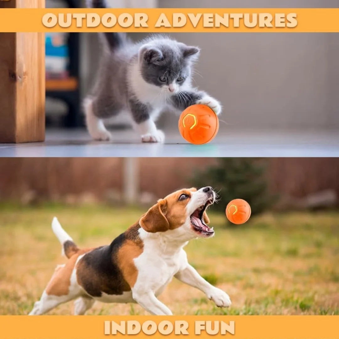 Brinquedos para animais de estimação: bola elétrica com mecanismo de gravidade, bola inteligente que salta, para cães e gatos.