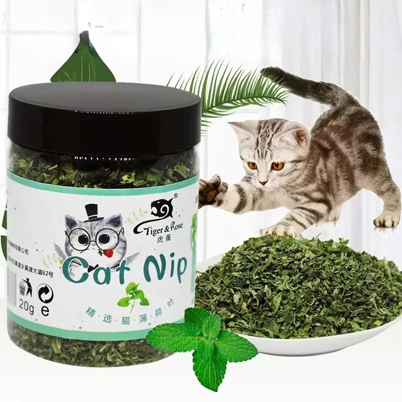 Brinquedo Interativo para Gatos com Sabor de Menta de Catnip 100% Natural e de Alta Qualidade, Novo Brinquedo para Gatos, Suprimentos para Animais de Estimação