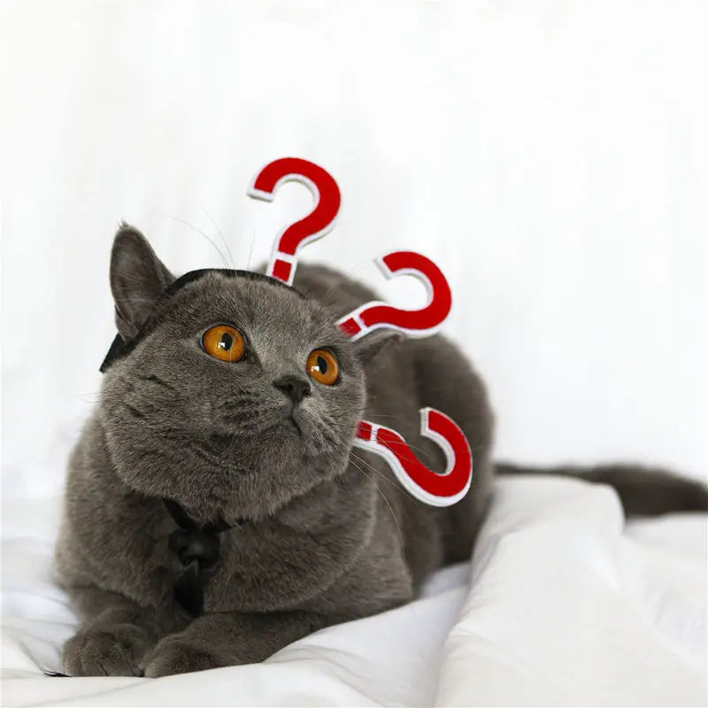 Traje de animal de estimação engraçado headwear para gato filhote de cachorro cão halloween fotografia adereços fontes de festa acessórios para animais de estimação