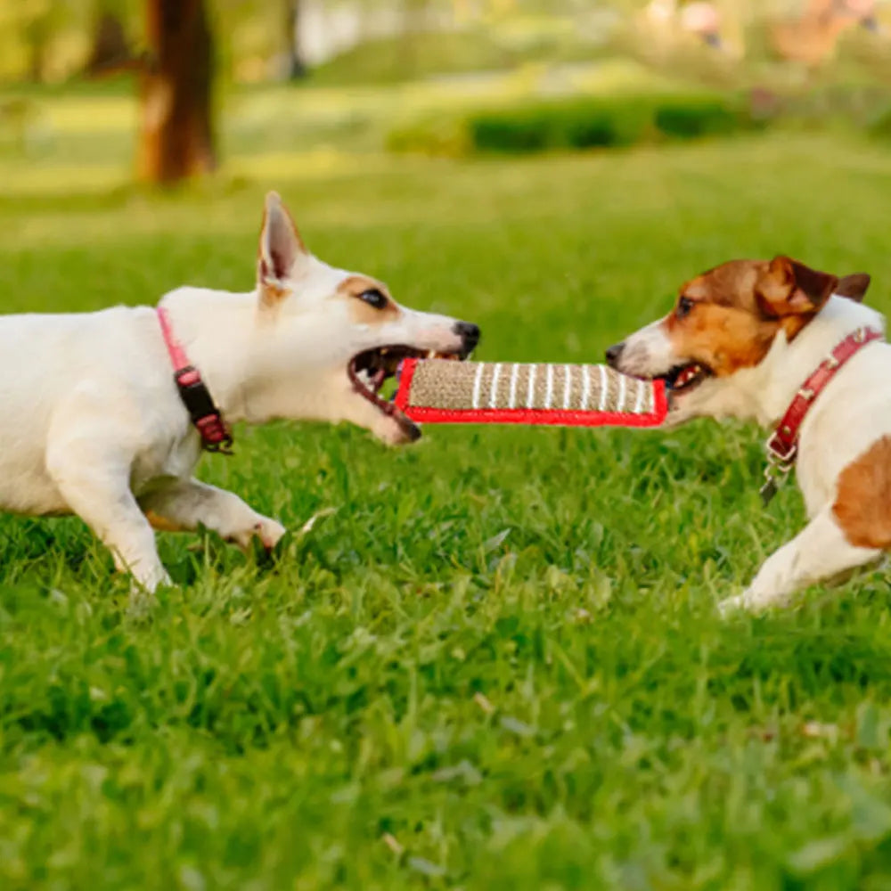 Produtos de treinamento para cães, hastes de mordida para cães Jaoseko, moagem de dentes, bastão, suprimentos para animais de estimação, brinquedos para cães