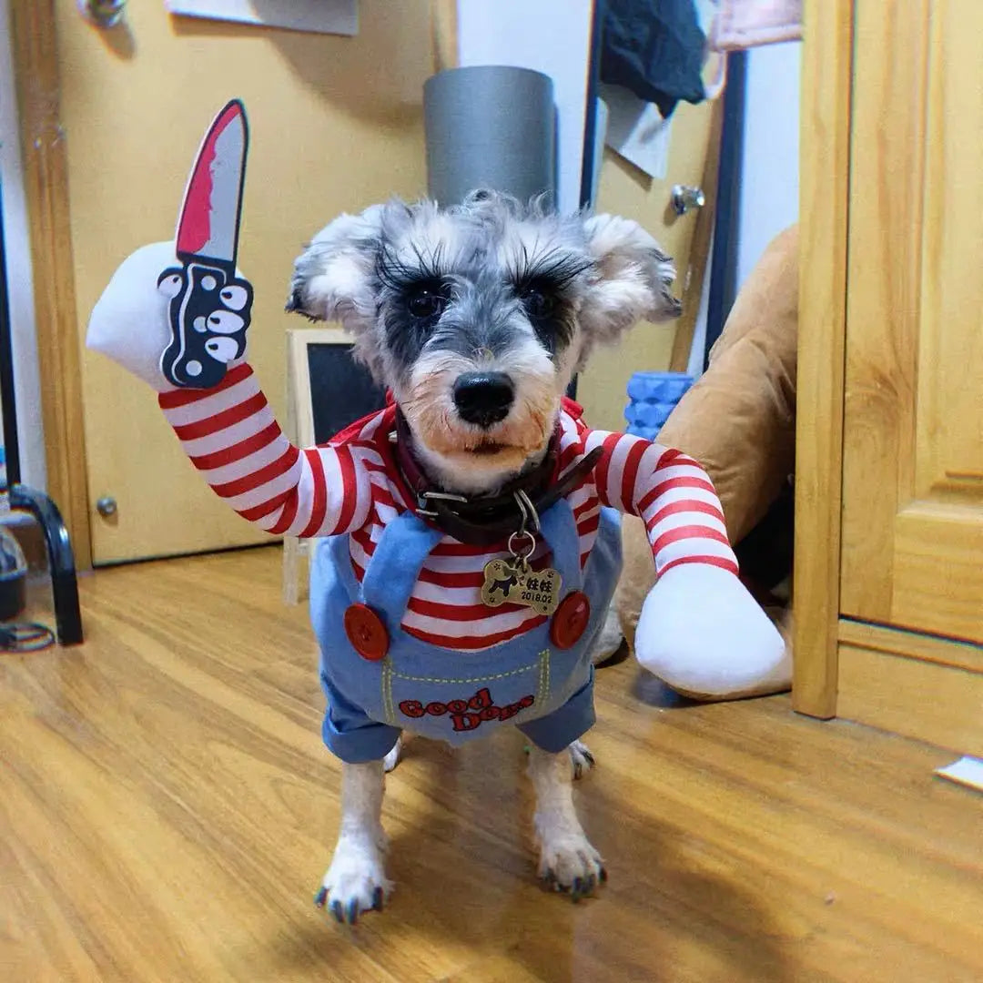 Fantasia de Halloween para Animais de Estimação – Vestido para Cães Pequenos e Médios – Roupa Divertida e Estilosa para Cães e Gatos Brincando com Roupas Engraçadas