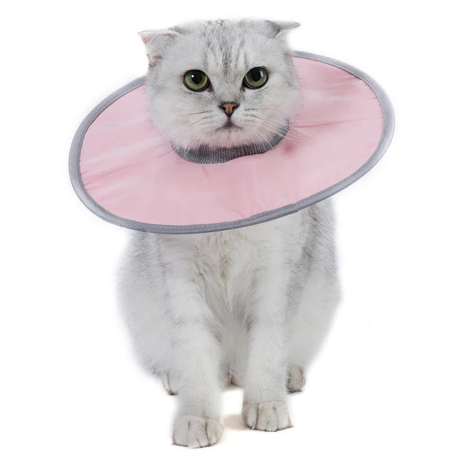 Coleira protetora para gato de estimação, coleira cônica de recuperação de pescoço para anti-mordida, reutilizável, círculo médico de saúde para cães e gatos, suprimentos para animais de estimação