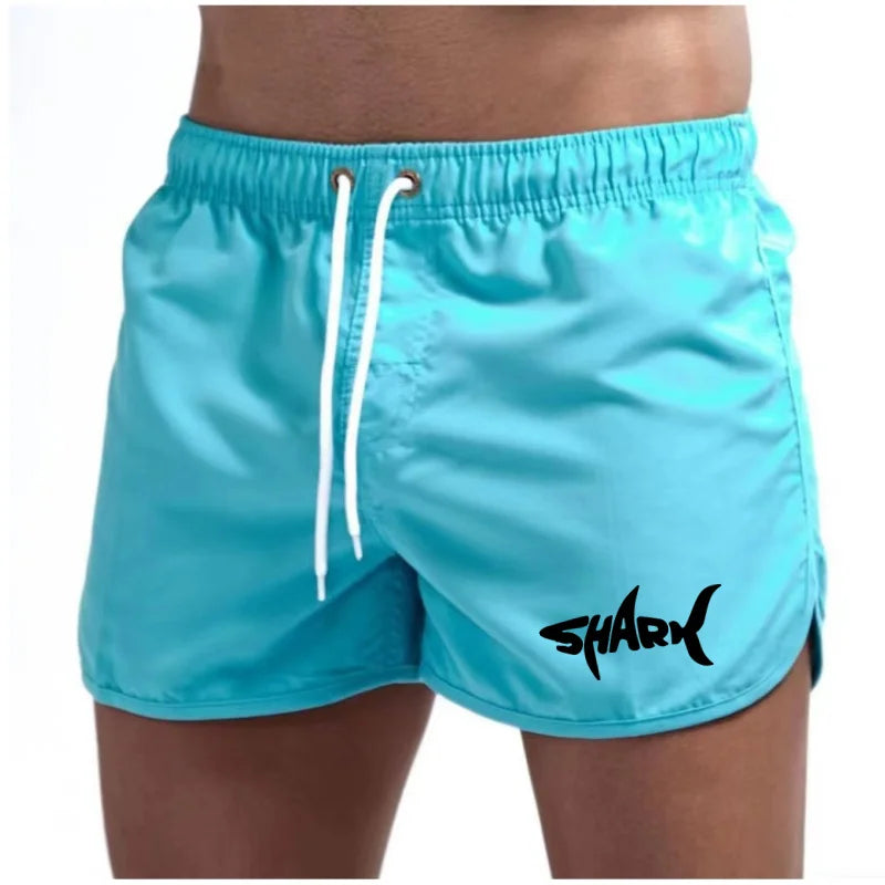 Men's Summer Mesh Quick-Drying Sports Shorts Casual Breathable Beach Pants for Outdoor Running Fitness