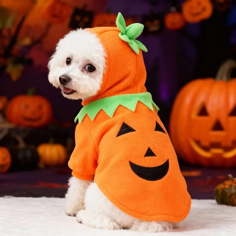 Fantasia de Abóbora para Cães, Oferta Imperdível de Halloween, Roupa Casual para Outono/Inverno.
