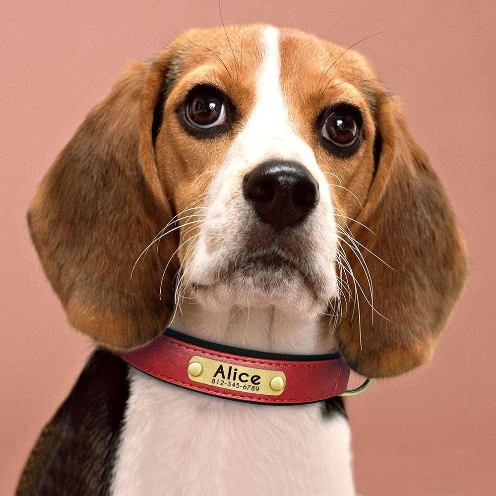 Coleira de Cão Personalizada em Couro com Placa de Identificação, Almofadada e Macia, Gravação Gratuita do Nome para Cães Pequenos, Médios e Grandes