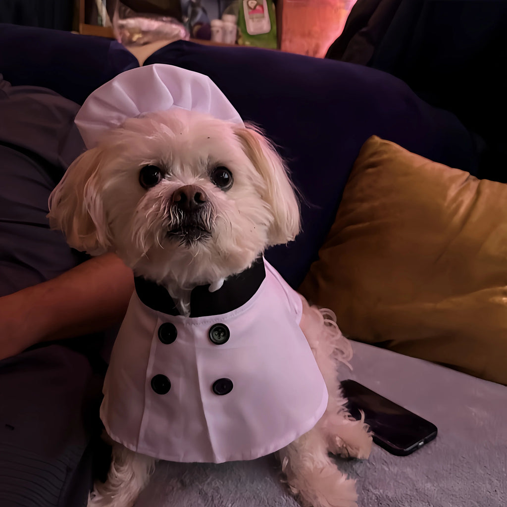 Conjunto de Fantasia para Animais de Estimação Top Chef com 2 Peças, Chapéu e Avental, Roupas Engraçadas e Fofas para Gatos e Cães, Fantasia de Chef para Cães em Feriados, Roupas com Tema de Restaurante
