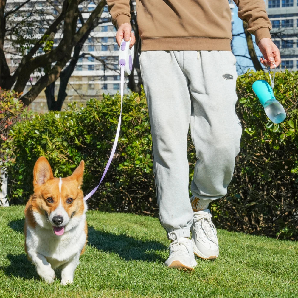 Garrafa de água para cães de estimação, 300ml, tigelas para beber cachorros, para cães pequenos e médios, caminhadas, alimentador portátil para gatos, suprimentos para golden retriever