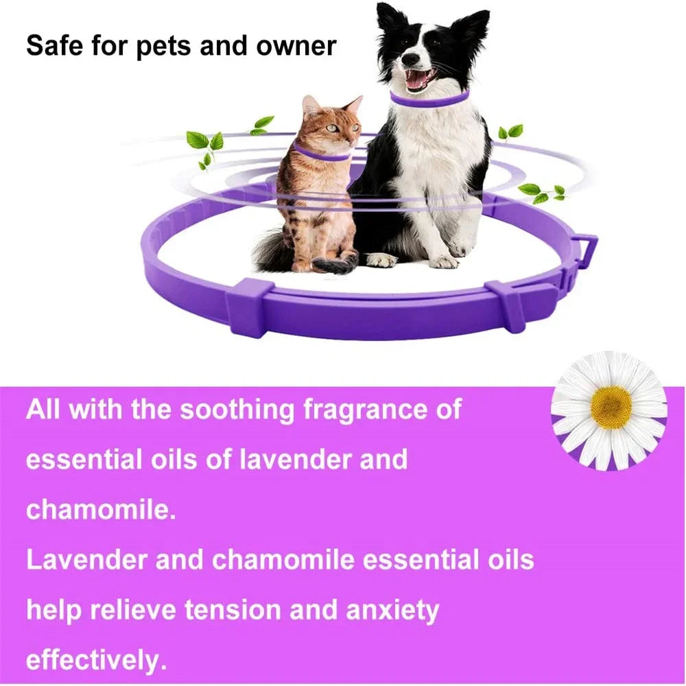 Coleira calmante para animais de estimação, para gatos, cães, ajustável, ansiedade, feromônio, reduzindo coleira para animais de estimação, duradoura, natural, calma, relaxar, calmante