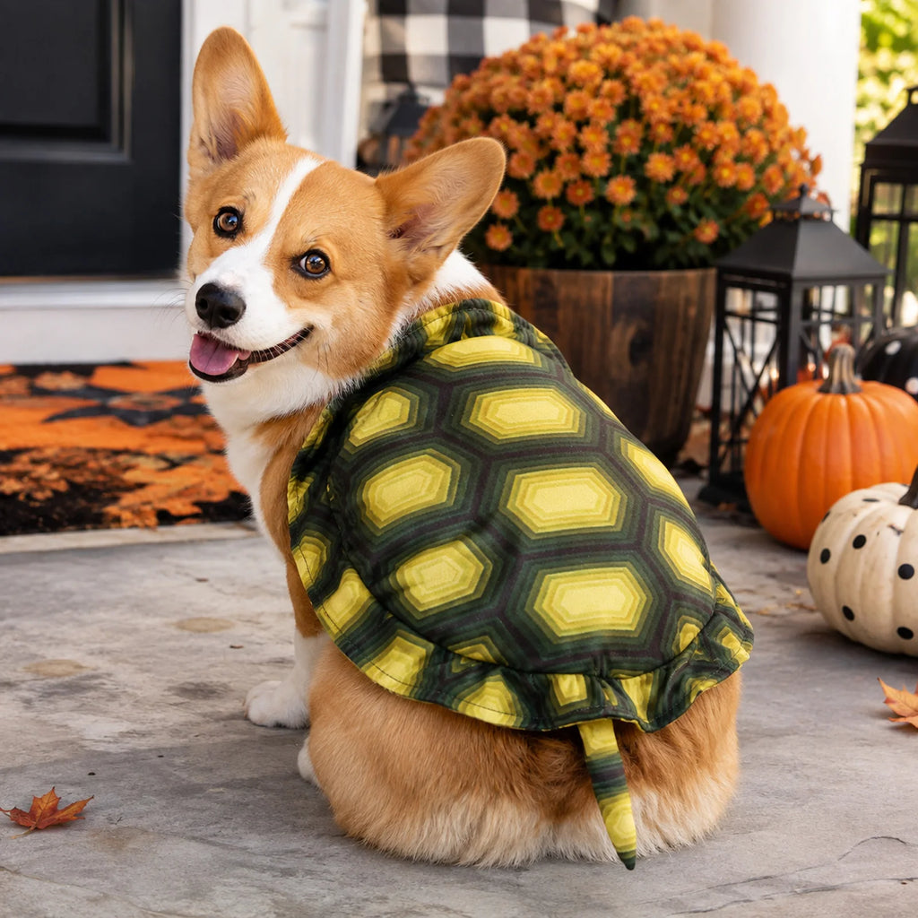 Fantasia de Tartaruga para Animais de Estimação de Halloween, para Pequenos Animais, Gatos e Cães, Roupa Ajustável para Festa de Animais de Estimação, Vestido para Festa de Feriado