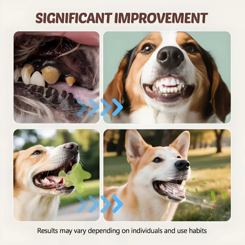 Spray Dental para Animais de Estimação, Não Necessita de Escovação, Limpa os Dentes, Refresca o Hálito, para Gatos e Cães de Todas as Raças, Fórmula Segura, Cuidado Dental Diário