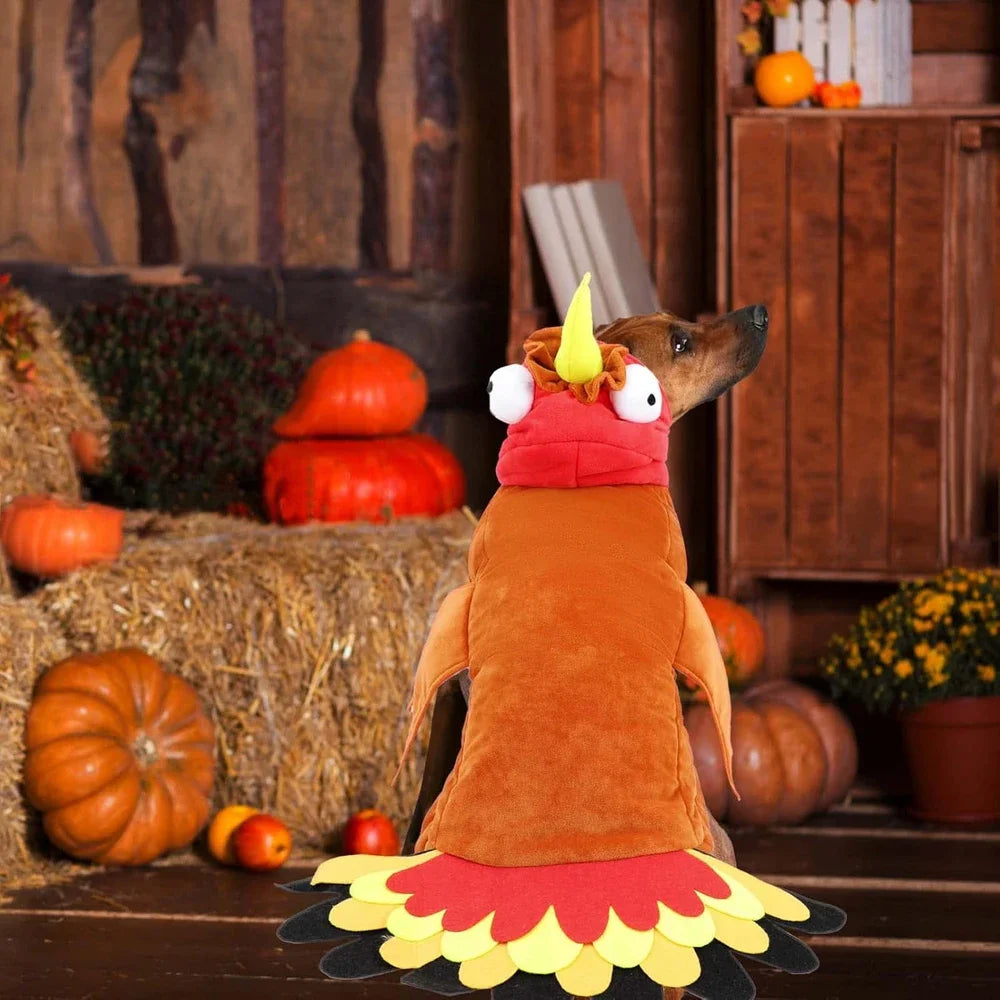 Fantasia de peru para cães no Halloween, fantasia de Ação de Graças para animais de estimação, roupa de inverno, vestuário para cosplay, fantasia para cães de pequeno, médio e grande porte.