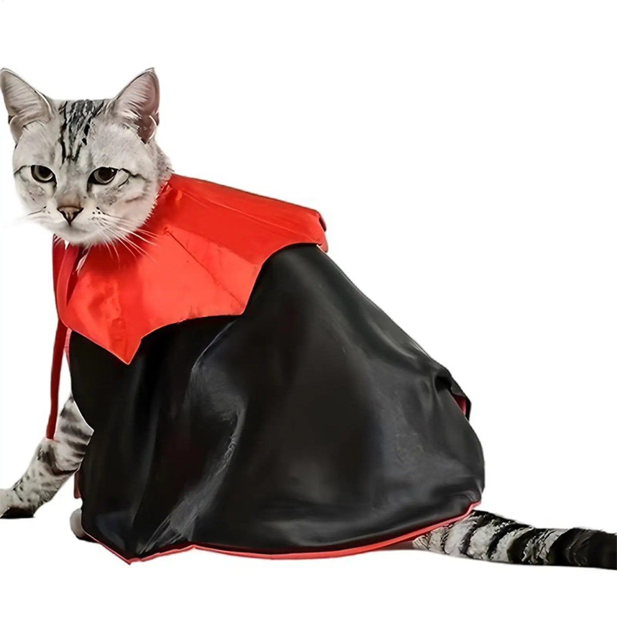 Fantasia de Morcego para Animais de Estimação, Capa de Vampiro Vermelha e Preta Ajustável para Cães e Gatos, Cosplay Engraçado para Filhotes Pequenos e Médios em Festas de Halloween
