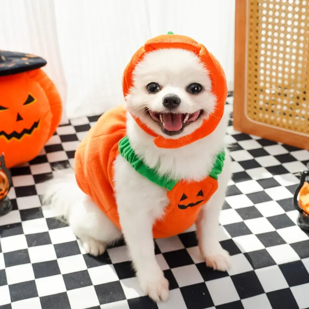 Fantasias de Halloween para Cães, Traje Engraçado de Abóbora Lanterna, Roupa de Transformação para Cães e Gatos de Duas Patas, Chapéu de Abóbora Fofo, Jaqueta para Cães