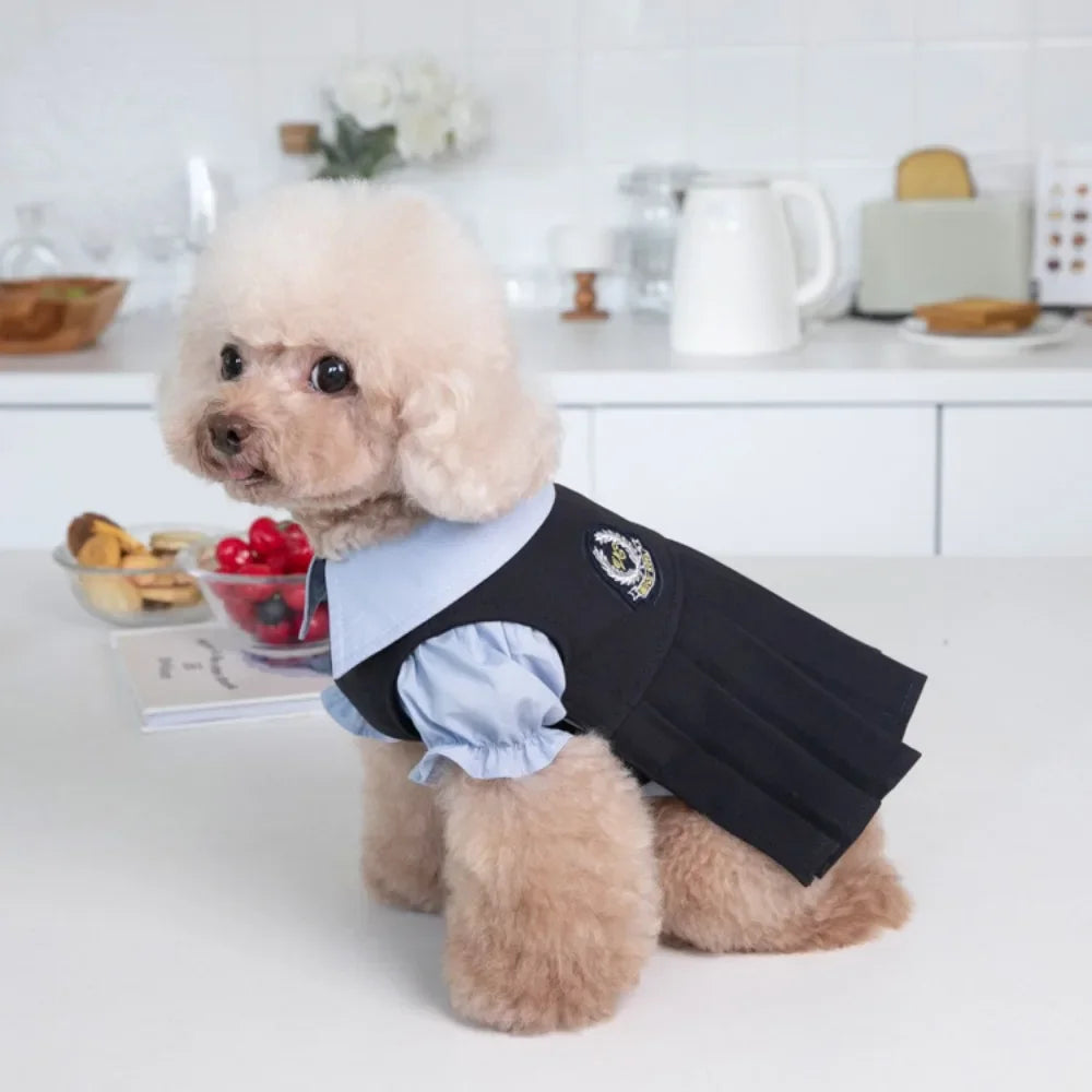 Bonito uniforme escolar plissado para Pet, camisa do cão, gato e cão roupas, saia de pelúcia, INS, outono, inverno
