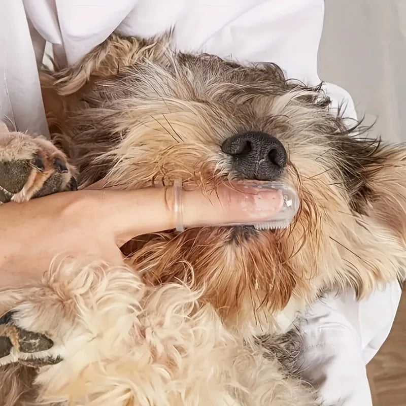 Conjunto de 4 escovas de dedo e escovas de dentes para animais de estimação, limpa os dentes eficazmente - adequado para cães e gatos