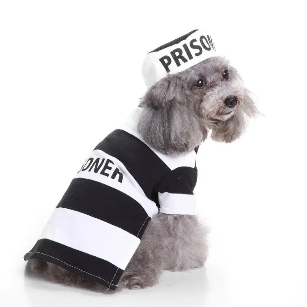 Fantasia de cachorro de prisioneiro para animais de estimação de Halloween