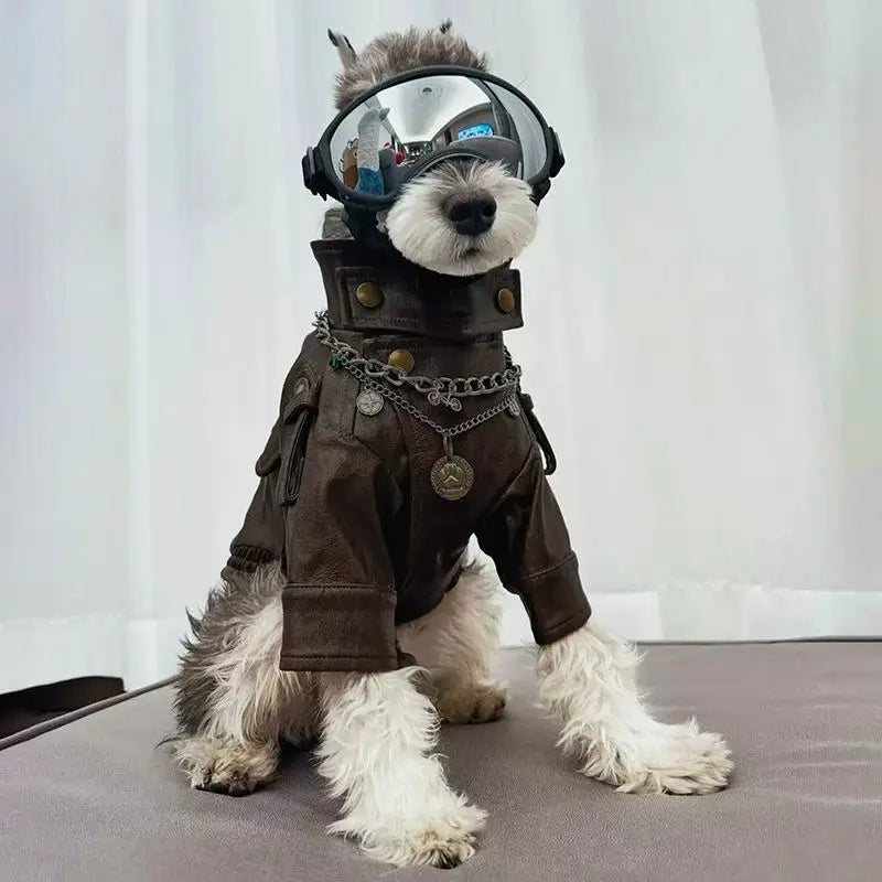 Roupa para Cães e Gatos: Jaqueta Motoqueiro de Couro PU Estilo Rocker para Cães, Preto e Marrom, Tamanhos S-XXL