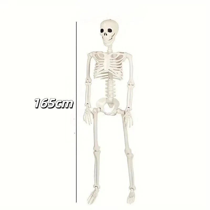 Decoração de Halloween: Esqueleto Humanoide para Casa Assombrada, Quarto, Varanda e Suprimentos DIY para Festas - Kasa & Pet