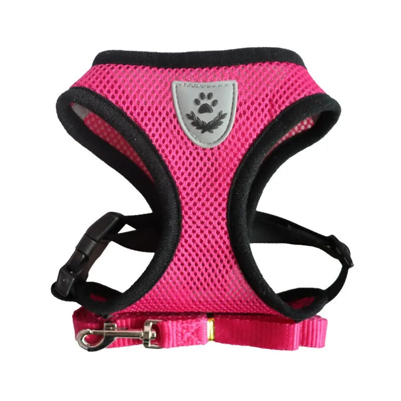 Trela e arnês para gatos, tenda para gatos, cinto de pescoço para gatos, anti-fuga, animais de estimação, colete, cinto de pescoço para cães mbd01 Kasa & Pet