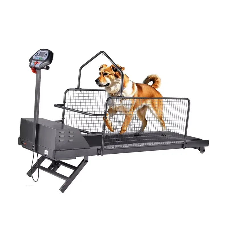 Esteira Elétrica para Animais de Estimação, Equipamento de Treinamento Esportivo para Cães, Máquina de Caminhada e Corrida com Inclinação Ajustável
