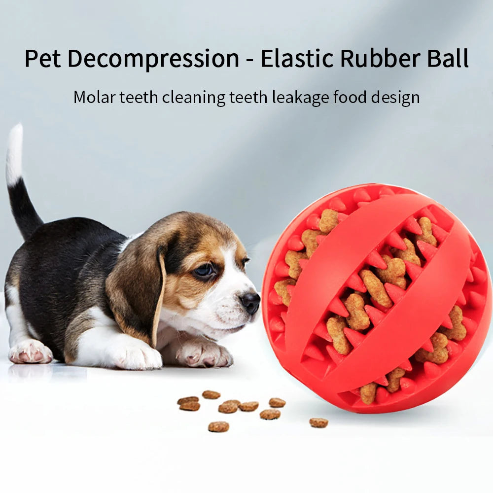 Bola de borracha interativa para pet, Mastigar brinquedo para cães pequenos, Limpeza dos dentes, Acessórios para cachorros