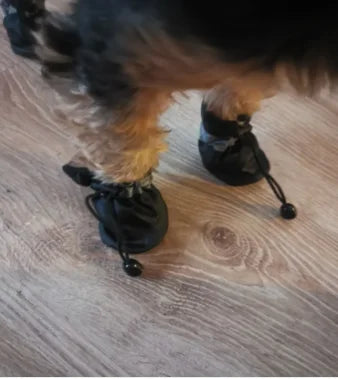 Conjunto de 4 Sapatos Impermeáveis para Cães, Botas de Chuva Antiderrapantes com Sola Macia, Sapatos para Gatos, Botas para Filhotes, Acessório para Patas