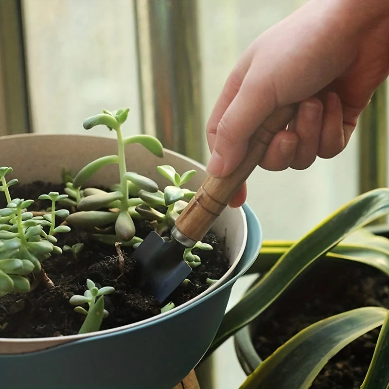 Mini Kit Jardinagem com Rake Trowel e Pá, Garden Tool Set, Plantas Suculentas e Cultivo do Solo