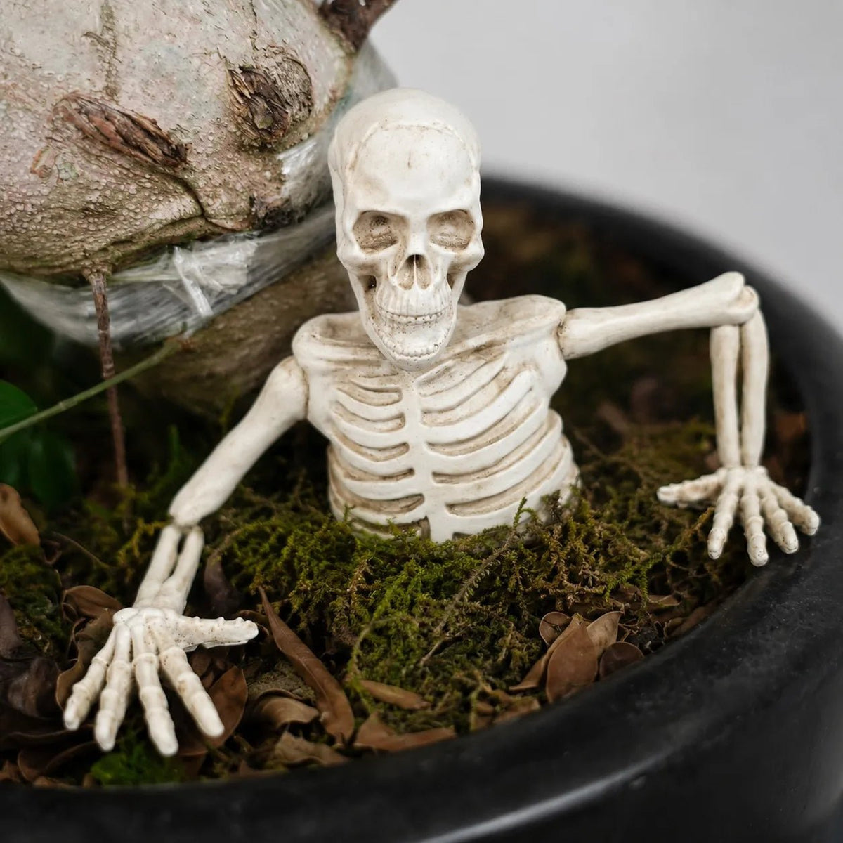 Decoração de Halloween: Esqueleto de Meio Corpo com Crânio para Bonsai, Decoração de Esqueleto de Meio Corpo para Interiores e Exteriores, Adereço para Decoração de Quintal - Kasa & Pet