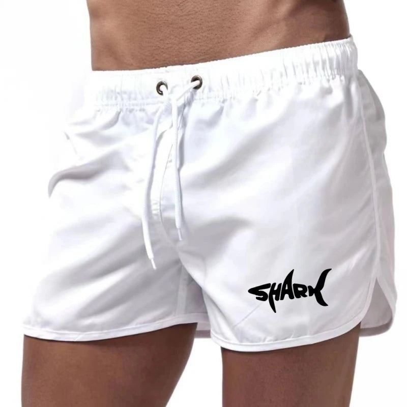 Men's Summer Mesh Quick-Drying Sports Shorts Casual Breathable Beach Pants for Outdoor Running Fitness