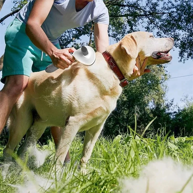Escova para cães e gatos, pente autolimpante para remoção de pelos de animais de estimação, ferramentas para limpeza de cães e gatos, acessórios para cães