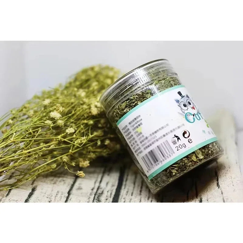 Brinquedo Interativo para Gatos com Sabor de Menta de Catnip 100% Natural e de Alta Qualidade, Novo Brinquedo para Gatos, Suprimentos para Animais de Estimação