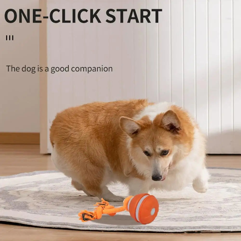 Bola Interativa para Cães, Brinquedo que Ativa com Movimento, Bola Rolante para Filhotes/Cães Pequenos, Brinquedo Automático Recarregável via USB
