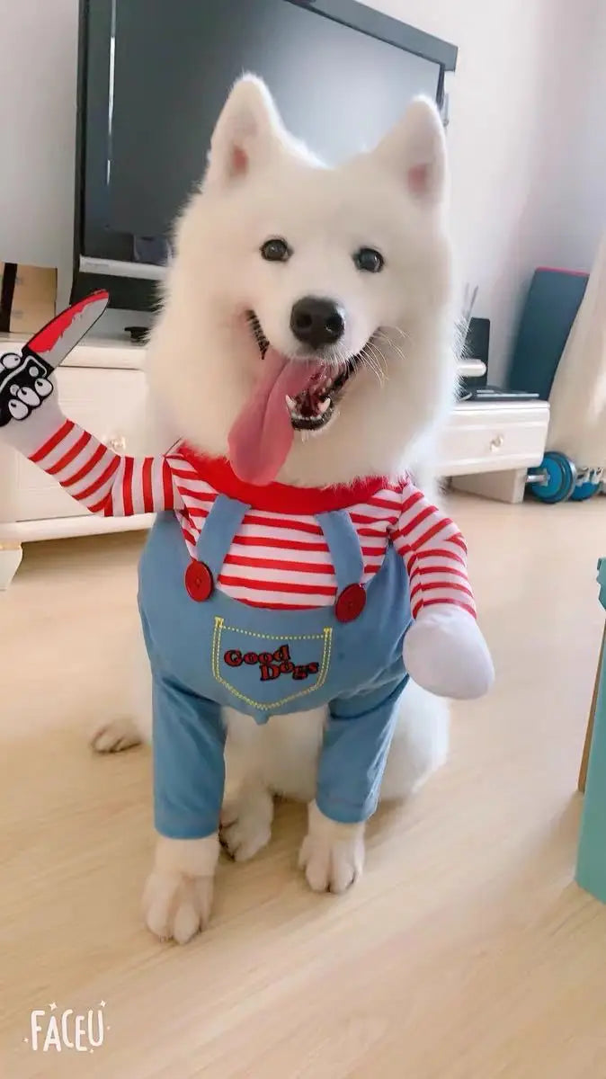 Fantasia de Halloween para Animais de Estimação – Vestido para Cães Pequenos e Médios – Roupa Divertida e Estilosa para Cães e Gatos Brincando com Roupas Engraçadas