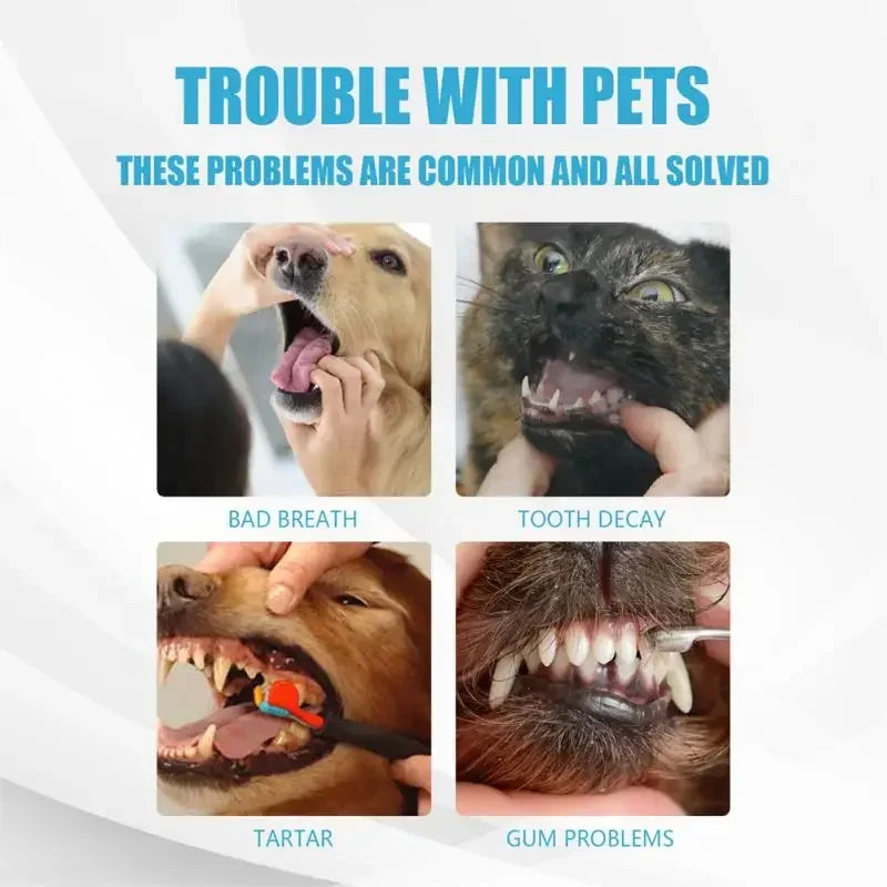 Pasta de Dente para Cães e Gatos, Cuidado Oral Comestível, Hálito Fresco, Remoção de Tártaro e Placa, Produtos para Limpeza Dental de Animais de Estimação