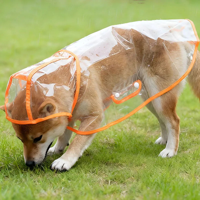 Capa de Chuva Transparente para Cães S/XL, Impermeável e à Prova de Vento, Roupa para Cães Grandes, Fantasia para Cães